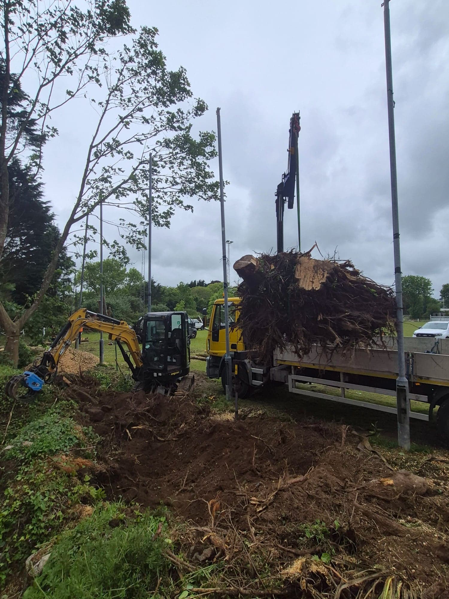 A digger loading brash into the lorry during a site clearance