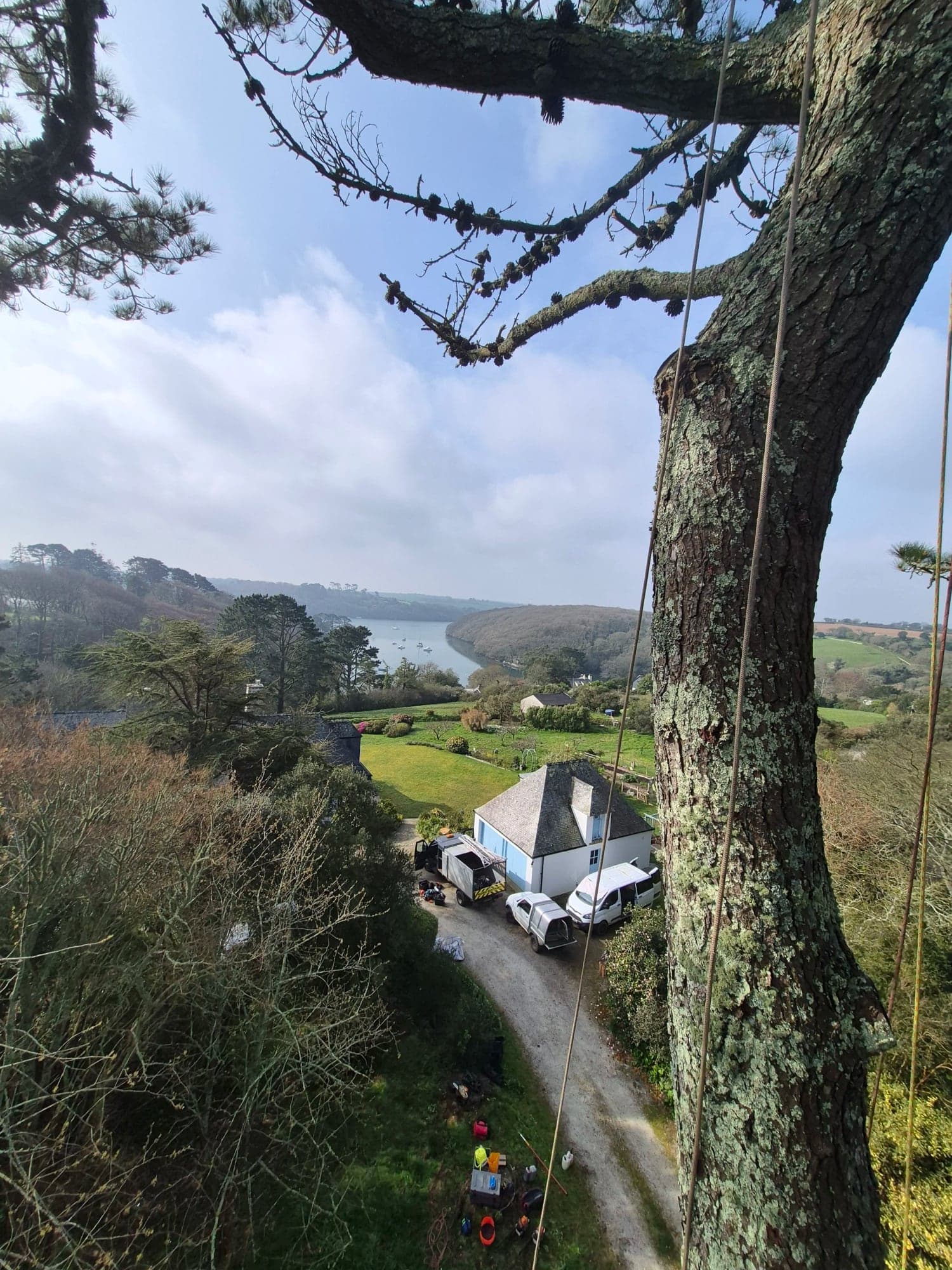 A roadside view over a town with cut logs stacked on the verge