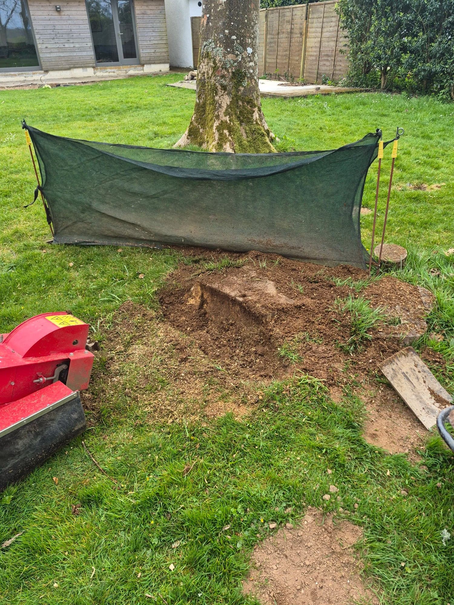A tree stump lifted out of a lawn with the soil held back by netting and a stump grinder beside it